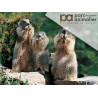 Parc animalier des Pyrénées (E-billets)