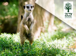 Parc Zoologique & Botanique de Mulhouse