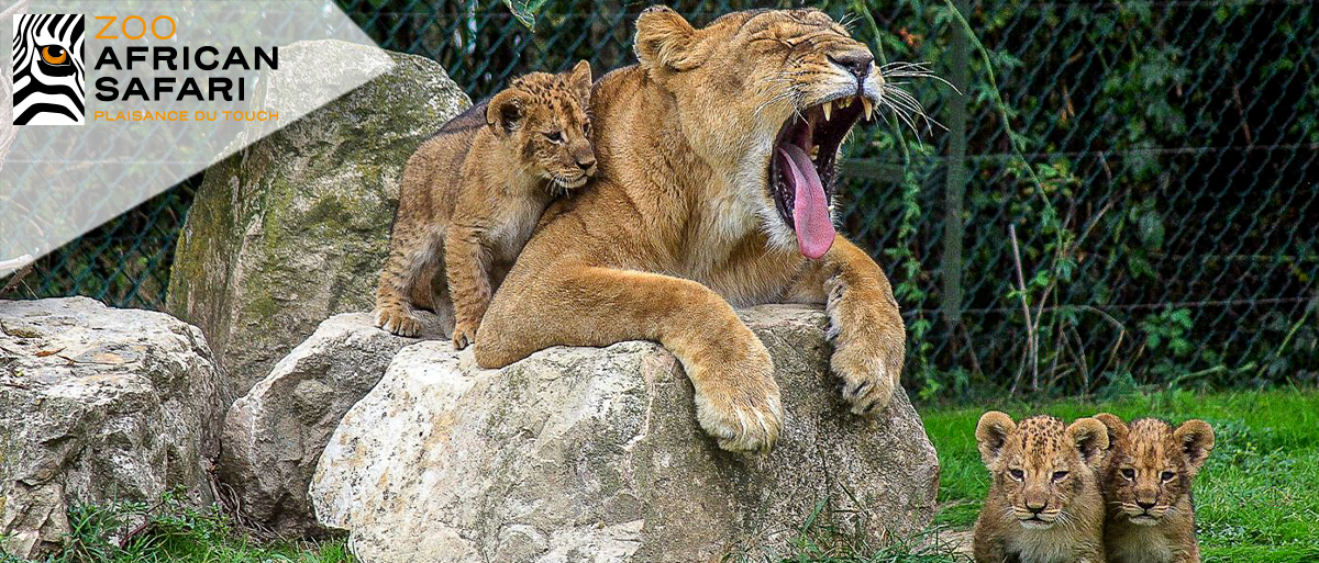 Zoo African Safari (E-billets)