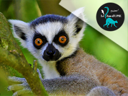 Zoo d'Upie