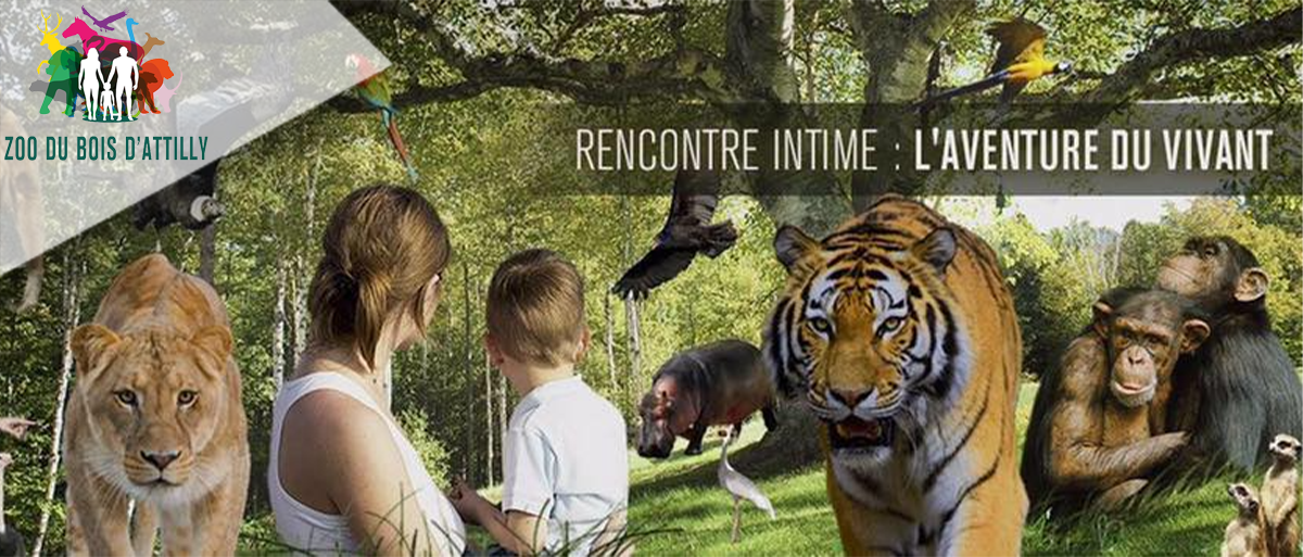 Zoo du bois d'Attilly (E-billets)